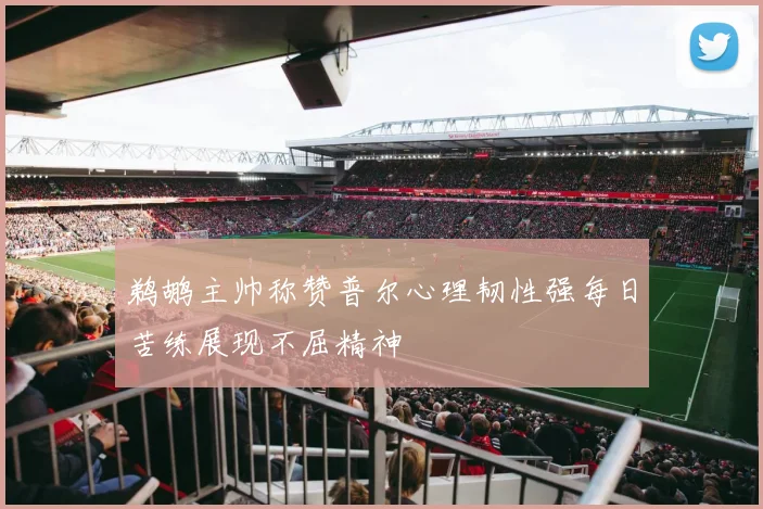 鹈鹕主帅称赞普尔心理韧性强每日苦练展现不屈精神