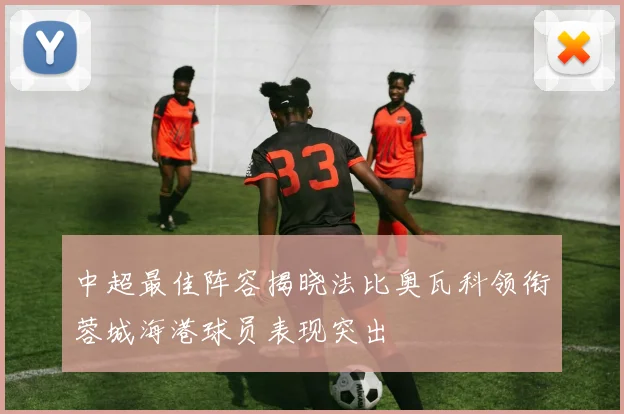 中超最佳阵容揭晓法比奥瓦科领衔蓉城海港球员表现突出