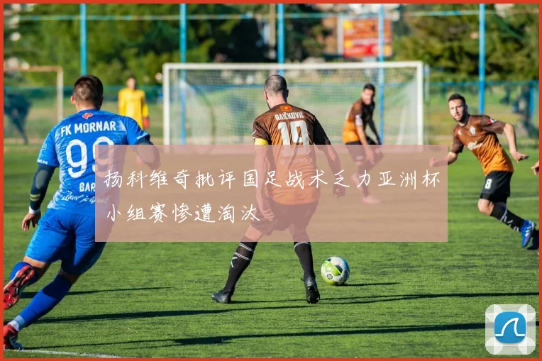 扬科维奇批评国足战术乏力亚洲杯小组赛惨遭淘汰